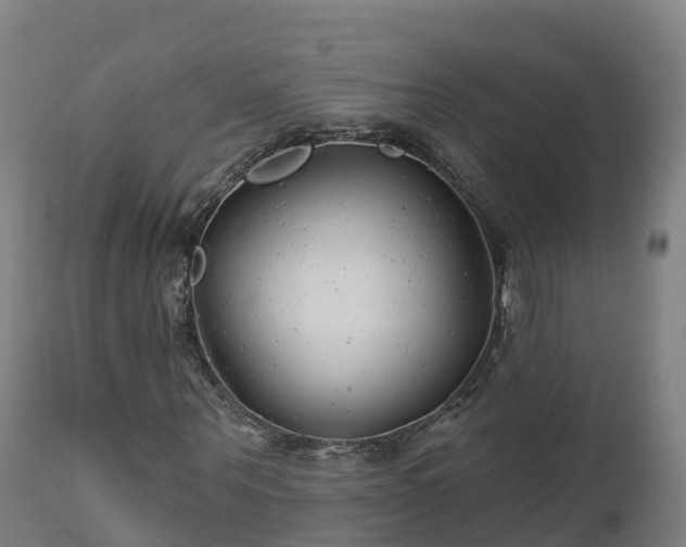 X0000112890867200908281658