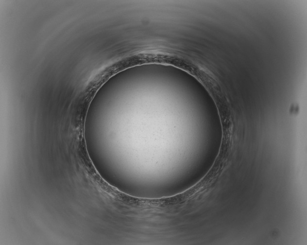 X0000112890870200908281658