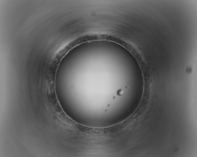 X0000112890871200908281658