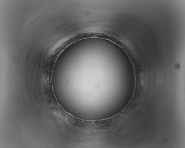 X0000112890872200908281658