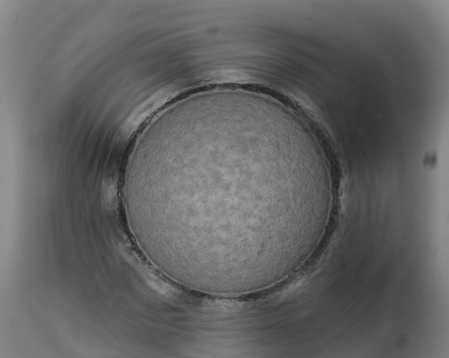X0000112890873200908281658
