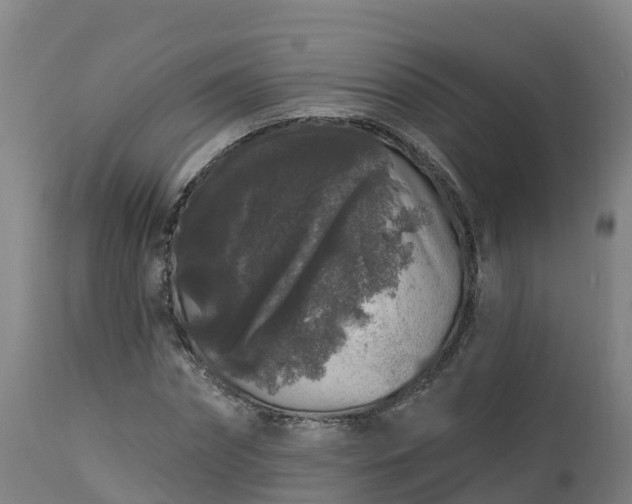 X0000112890874200908281658