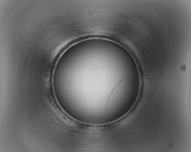 X0000112890875200908281658