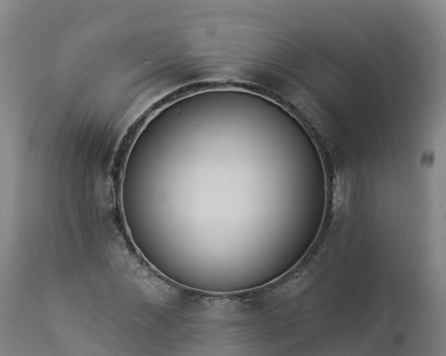 X0000112890876200908281658