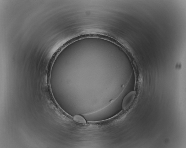 X0000112890877200908281658