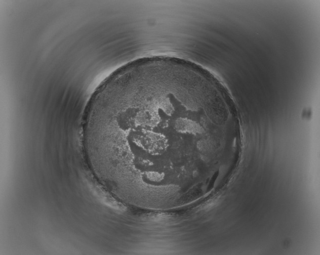 X0000112890879200908281658