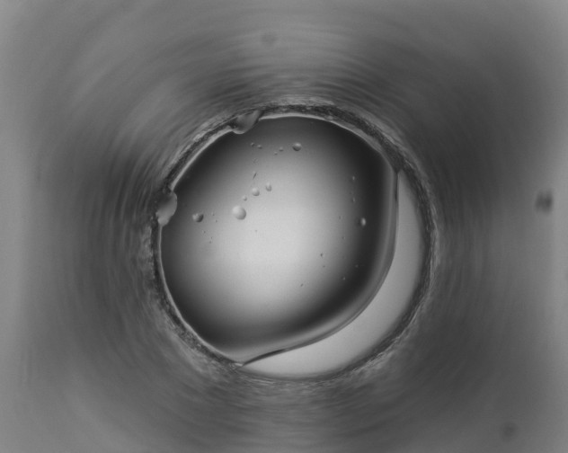 X0000112890881200908281658