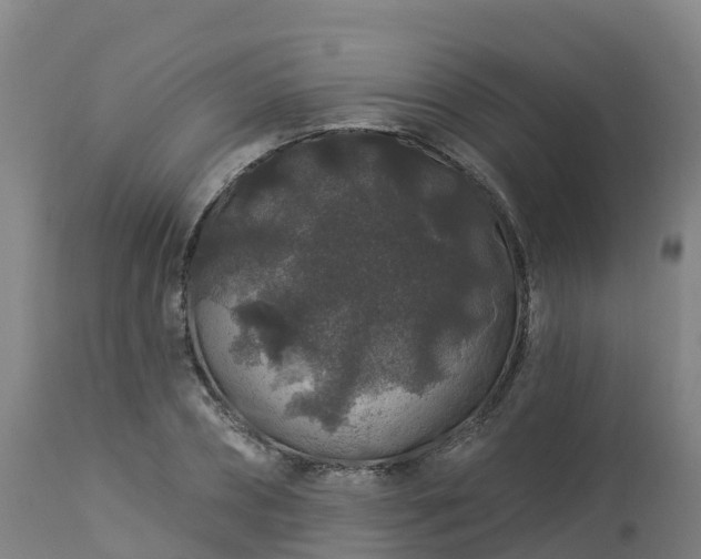 X0000112890882200908281658