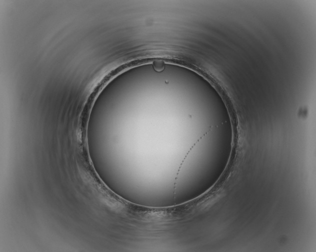 X0000112890883200908281658