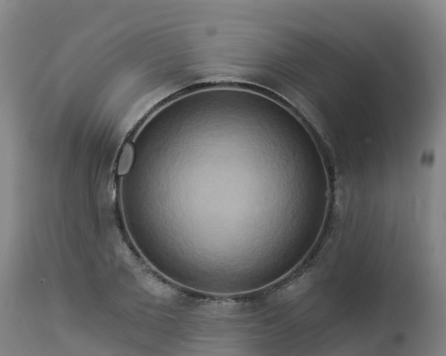 X0000112890885200908281658