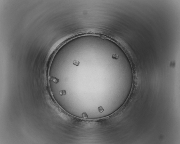 X0000112890886200908281658