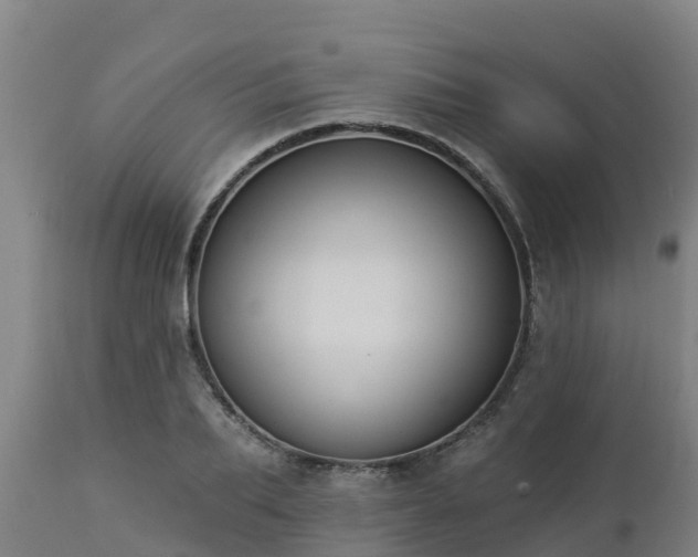 X0000112890887200908281658