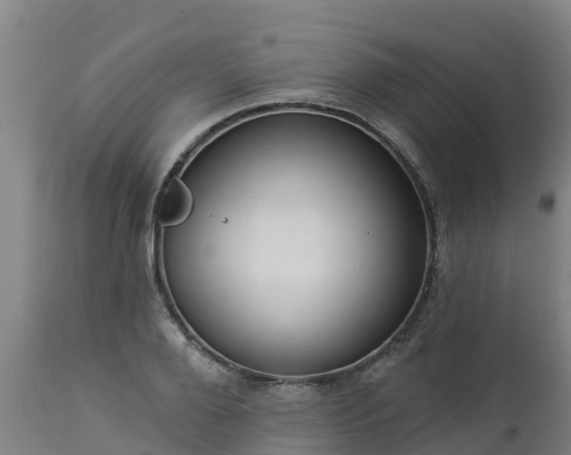 X0000112890888200908281658