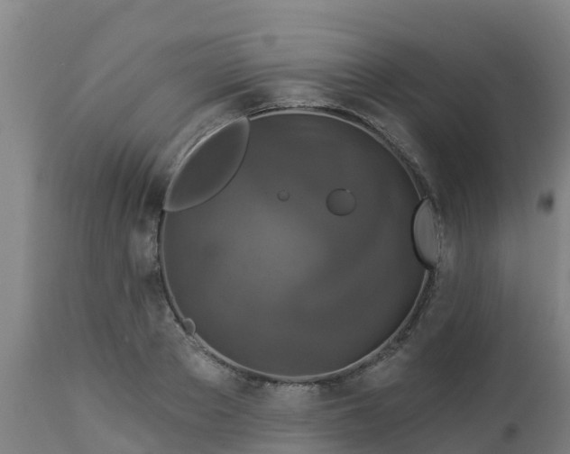 X0000112890889200908281658