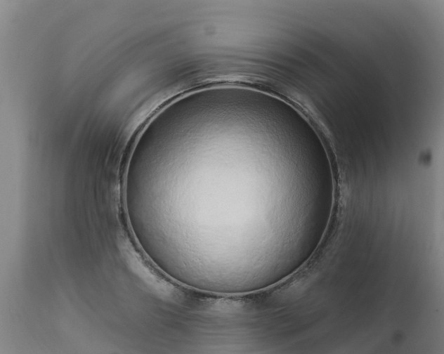 X0000112890890200908281657