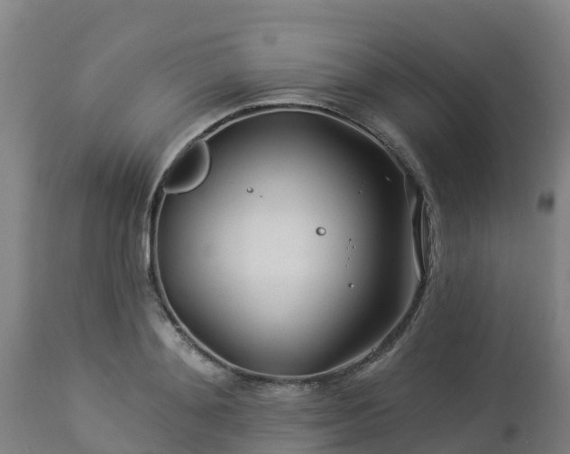 X0000112890892200908281657