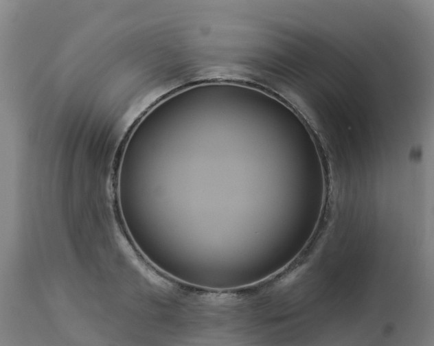 X0000112890893200908281657