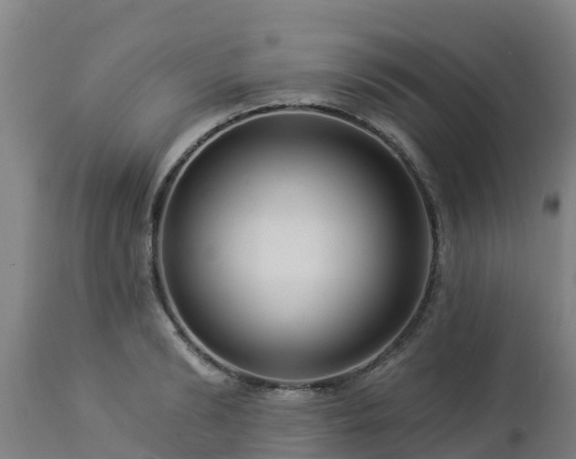 X0000112890894200908281657