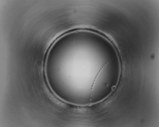 X0000112890895200908281657
