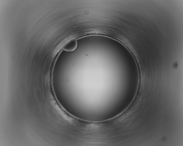 X0000112890898200908281657