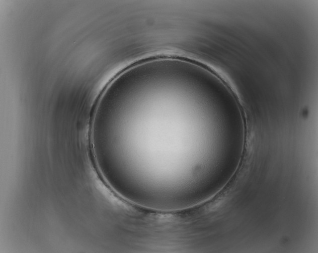 X0000112890903200908281657