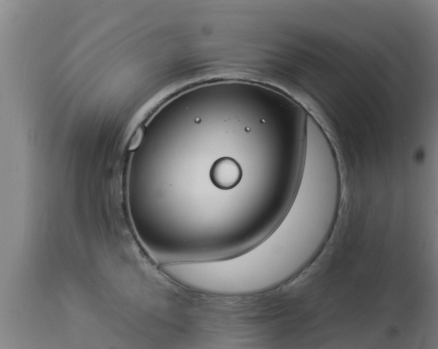 X0000112890904200908281657