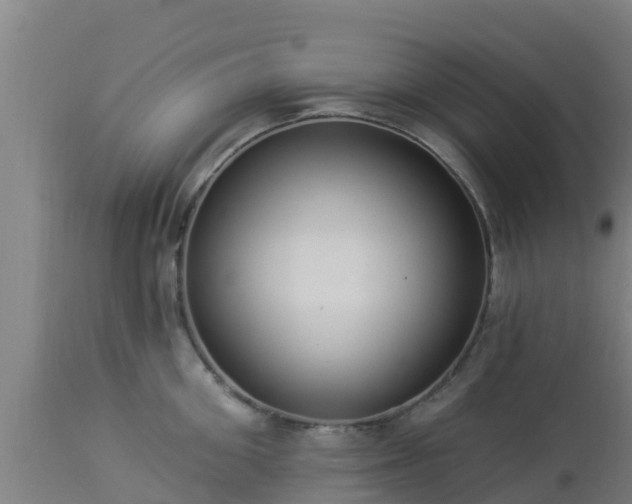 X0000112890906200908281657