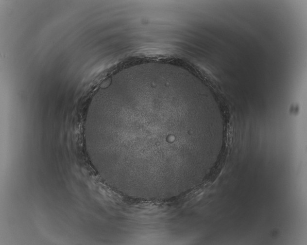 X0000112890917200908281656