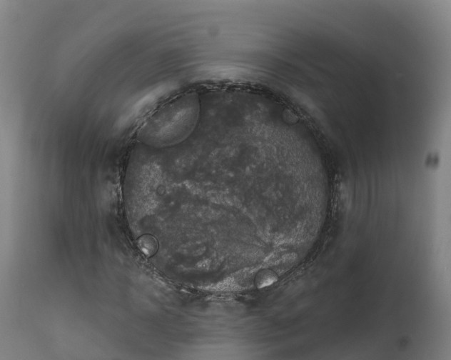 X0000112890918200908281656