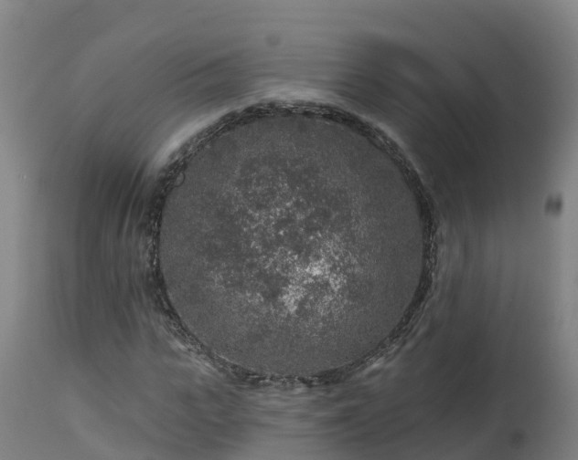 X0000112890919200908281656