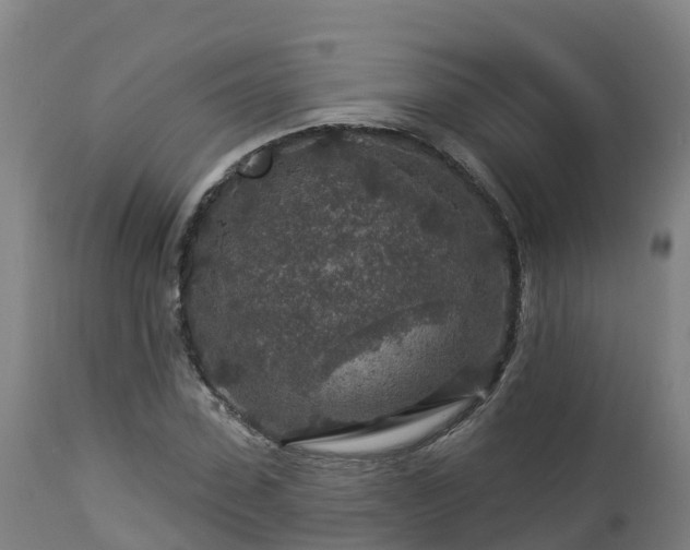 X0000112890923200908281656