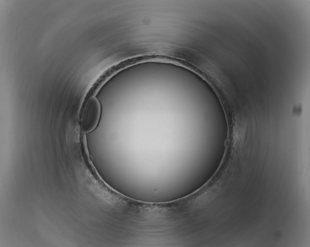 X0000112890924200908281657