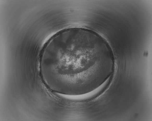 X0000112890925200908281657