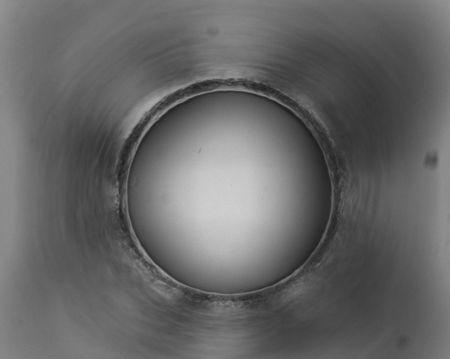 X0000112890927200908281657