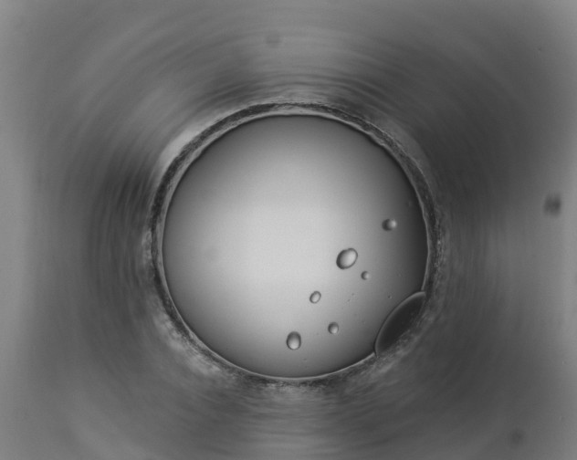X0000112890928200908281657