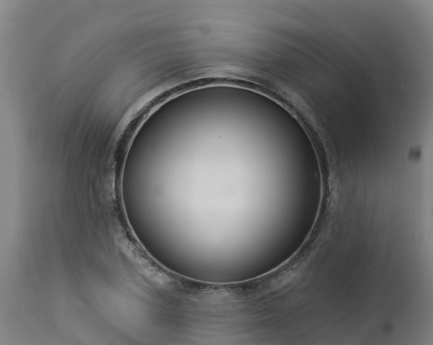 X0000112890931200908281657