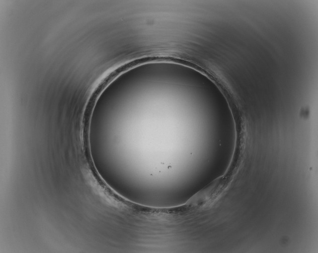 X0000112890932200908281657