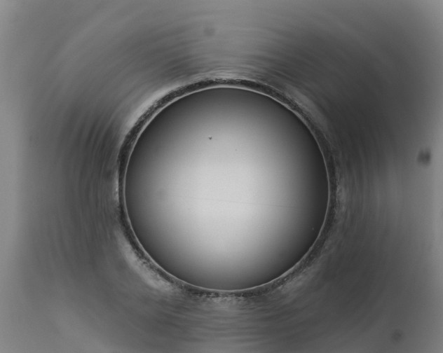 X0000112890934200908281657