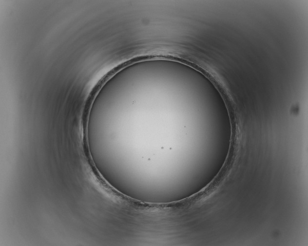 X0000112890936200908281657