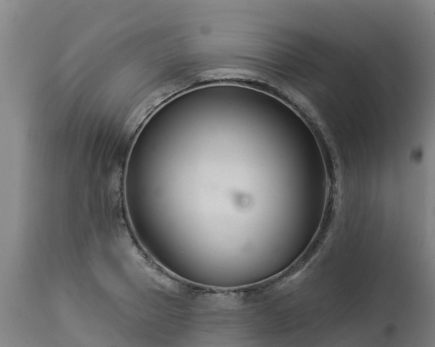 X0000112890937200908281657