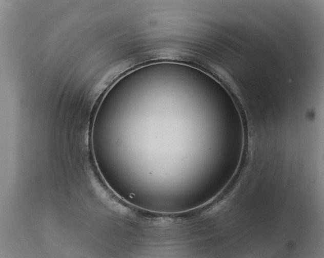 X0000112890938200908281657