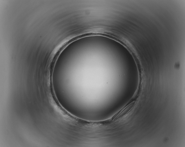X0000112890939200908281657
