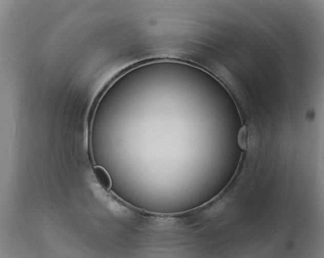 X0000112890940200908281657