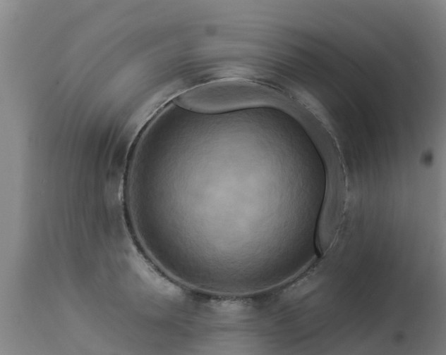 X0000112890946200908281657