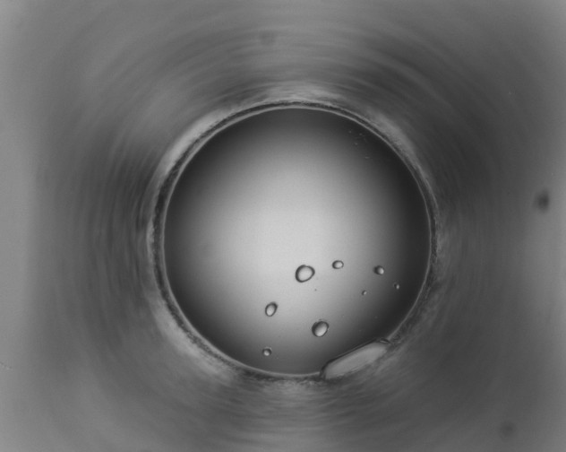 X0000112890947200908281657