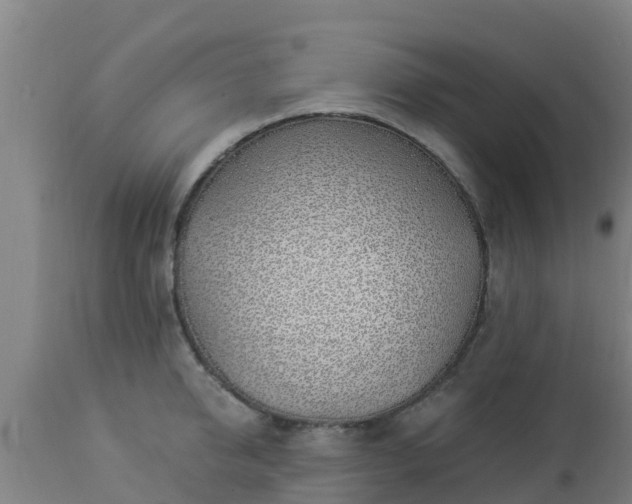 X0000112890950200908281657