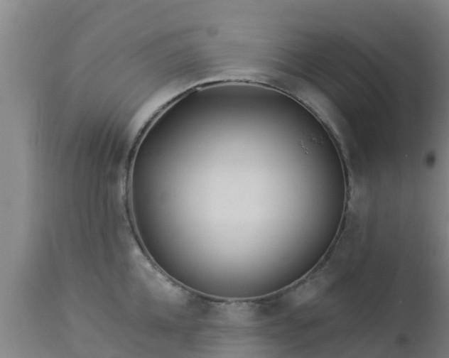 X0000112890952200908281657