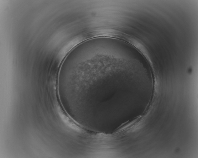 X0000112890954200908281657