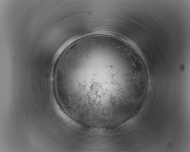 X0000112890955200908281657