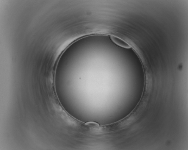 X0000112890956200908281657